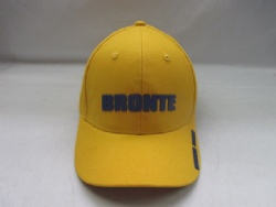 High Quality Brushed Cotton Embroidery and PVC RUBBER Baseball Cap