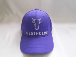 Purple color custom design acrylic baseball hat